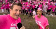 Making strides: dozens gather along the bayfront to join the fight against breast cancer