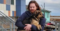 Volunteers save dogs from a flooded Alaska village, 1 tiny plane at a time