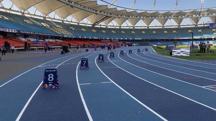 Stray dogs bite foreign coaches at World Para Athletics Championships in Delhi