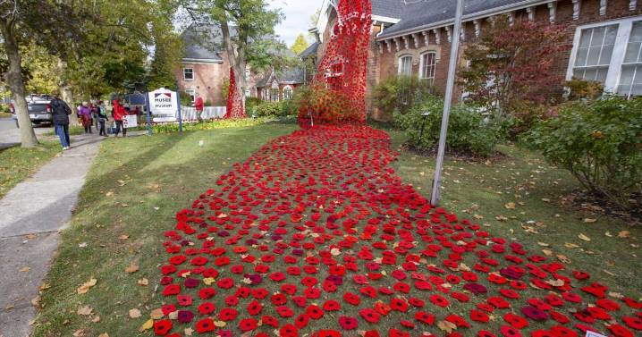 ‘Profound remembrance’: Sea of red wool poppies decorate Niagara