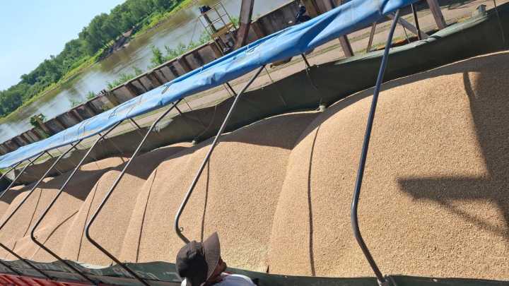 El Puerto de Barranqueras exportó a Bolivia 300 toneladas de trigo santafecino