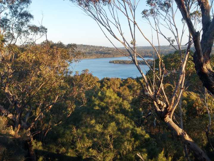 Sydney locals push back against 536‑home housing plan