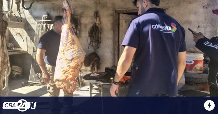 Faena clandestina en Córdoba: ofrecían carne ilegal en las redes sociales