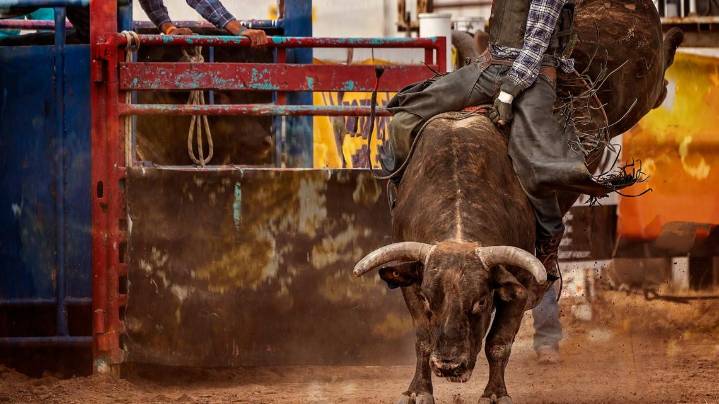 Carolina Cowboys capture first PBR Team Championship