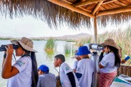 Humedal Pantanos de Villa invita a “la mayor fiesta mundial” del avistamiento de aves