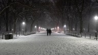 Alerta por primeras heladas en Nueva York: se preparan para temperaturas cercanas al punto de congelación