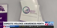 Louisiana advocates urge awareness, action as domestic violence deaths remain high