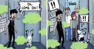 Silly Sully: My 23 Comics That Dog Owners Will Probably Find Very Relatable