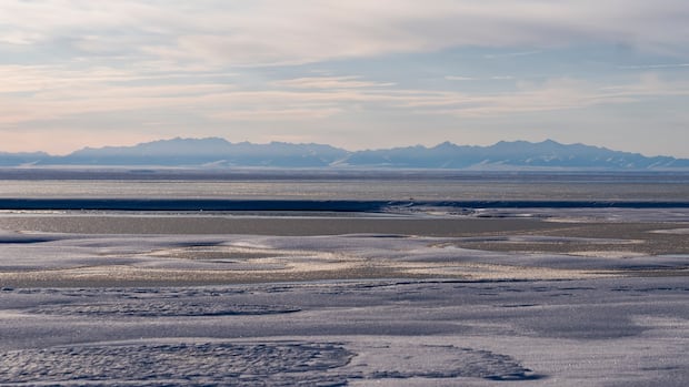 Trump administration finalizes plan to open pristine Alaska wildlife refuge to oil and gas drilling