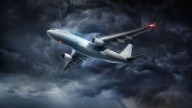 As Skies Grow Bumpier, Scientists Turn to Birds for Clues on Turbulence