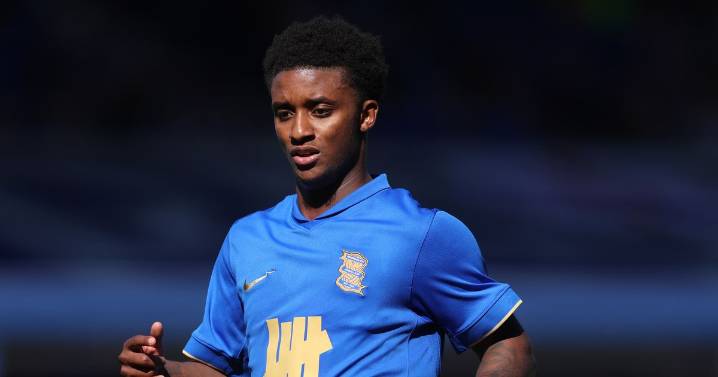 Birmingham City could be without seven players against Hull after international break blow