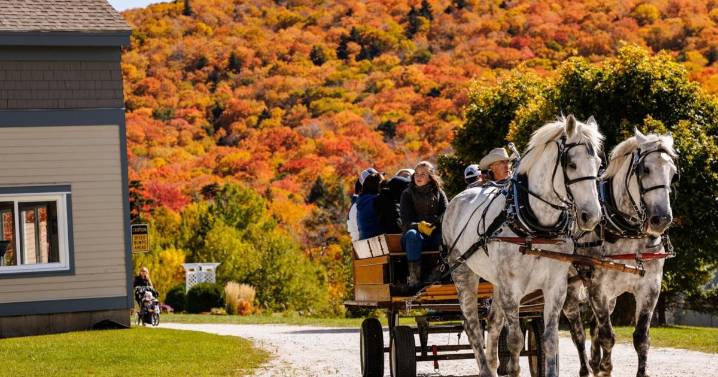 Killington Harvest Faire is festive fall fun