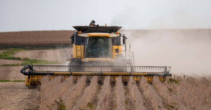 Nunn, Ernst push White House for action as farmers feel trade clas pain