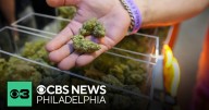 Doctors recommend medical marijuana use as more patients seek safer alternative to opioids