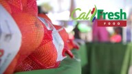 Cambios en requisitos de Calfresh en California – Telemundo Area de la Bahía 48