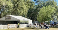 Future uncertain for Broke BBQ Festival amid financial woes