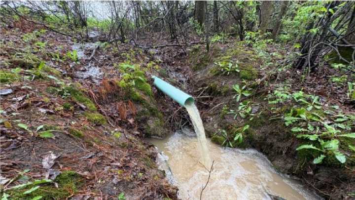 Environmental groups allege illegal pesticide runoff from Addison County farm