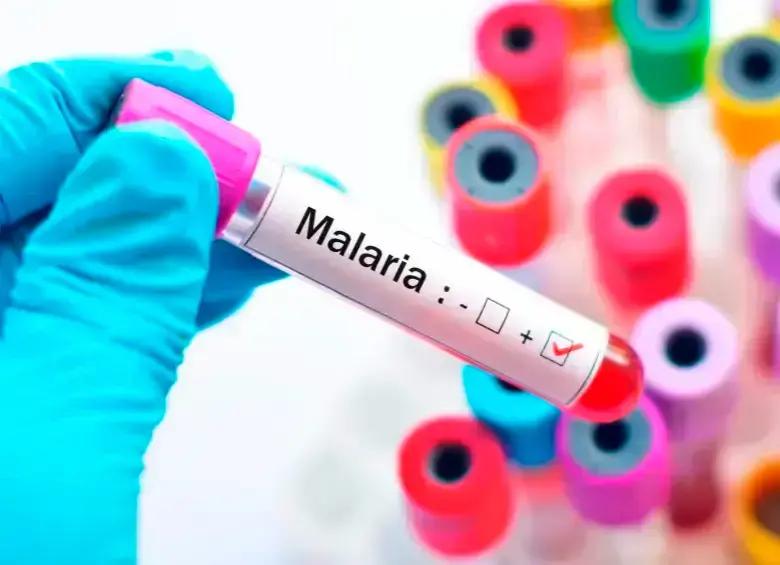 Advierten que lucha contra la malaria se estancó en el mundo; estas son las razones