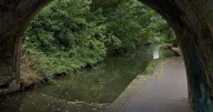 Mum's terror at Birmingham canal towpath sex attack