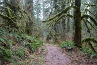 Oregon-filmed movies haunt these spooky hikes