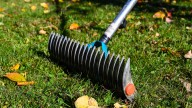 How Late Can You Dethatch Your Lawn?