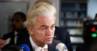 Historic Knife-Edge Result in Dutch Elections: Joint