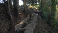 Entamen los trabayos d'exhumación de la fuexa común de La Lloba, en Castrillón