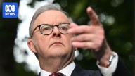 Queensland man charged over alleged death threat made against Prime Minister Anthony Albanese