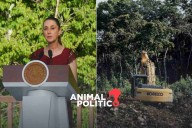 “Contradictoria” la política ambiental del primer año de Sheinbaum; advierten activistas