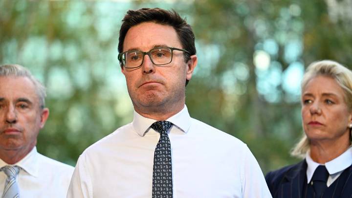 David Littleproud makes plea for Barnaby Joyce to stay as One Nation rumours swirl