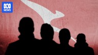 How to tell if your Qantas personal data has hit the dark web and what you can do if it has