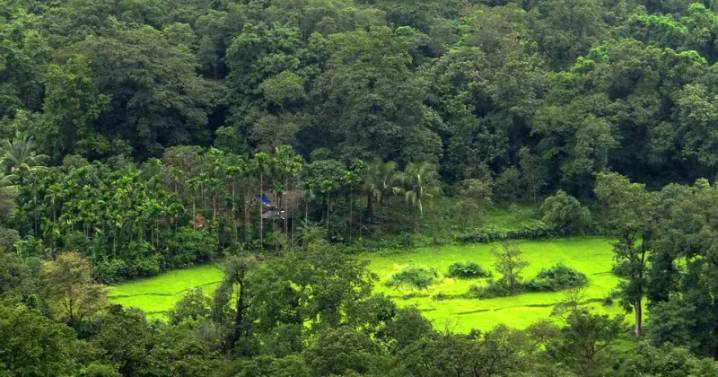 India moves up to position nine globally in forest area; continues to rank number 3 in Annual Forest Gain