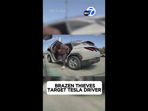 Brazen thieves target Tesla driver, steal $3,000 in cash