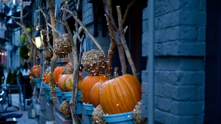 Así es Holywins, la celebración de Todos Los Santos que se celebra en un colegio de Sevilla: 'La fiesta de la alegría'