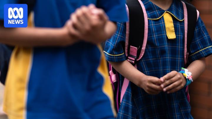 Anti-bullying report outlines national strategy to crack down on behaviour