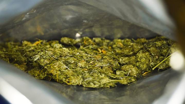 FL court rules cops can’t search cars just because of a pot smell