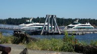 Hullo Ferries vessel struck humpback near Vancouver: DFO
