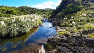 Virorco: postales serranas para una tarde de primavera inolvidable