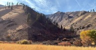 Swakane Unit in Chelan Wildlife Area reopens after wildfire