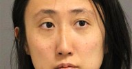 Expert: Calls competency process 'useless exercise'