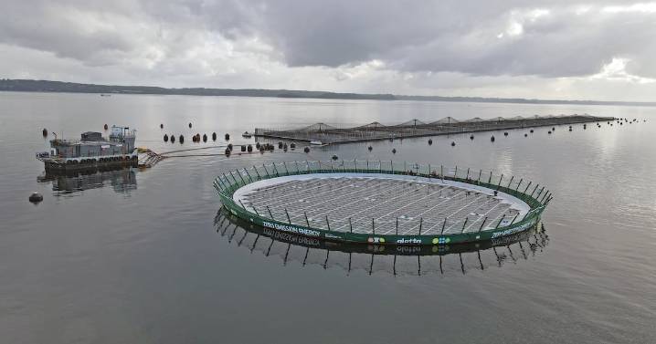 Reducción de emisiones y economía circular: La estrategia de Mowi Chile para transformar la industria del salmón