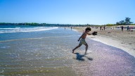 A quick guide to navigating RI's public beach access