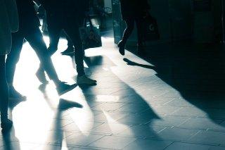 RUNT Ciudadano: ¿Cómo consultar y realizar trámites como ciudadano?