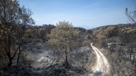 Puente Domingo Flórez prohíbe el uso de agua por arrastres de ceniza por los incendios