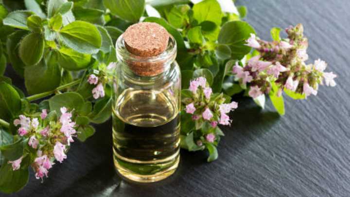 Cómo liberar el poder del aceite de orégano: para qué sirve y cómo tomarlo correctamente