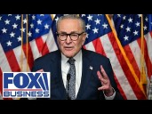 ‘IF SCHUMER HAD ANY BRAINS’: GOP rep unloads on ‘stupidest shutdown’ ever