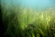 Wasting Away: How we analyzed pollution in Florida waters