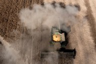 Bailout? Farmers say protecting the market is more important