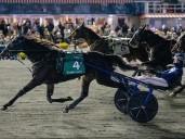 Ervin Hanover sets Canadian record in Breeders Crown win
