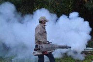 Dengue y control de mosquitos: ¿Qué tan tóxicos son los métodos de fumigación?